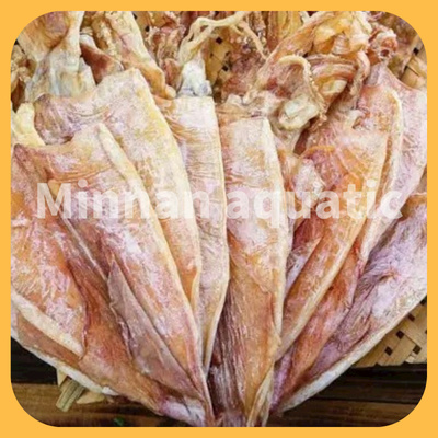 Dried Illex Squid Whole